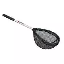 BECKMAN LIVE WELL NET