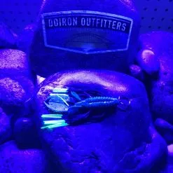 Tightlines UV BB-WSMR-CTIP3 UV WHISKER SM PUNCH RATTLING 3"-UV BLUE BLACK WITH CHARTEUSE TIP